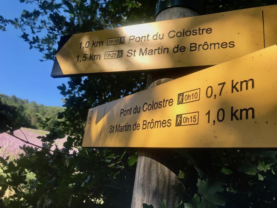 Le Colostre T2 Saint-Martin-de-Brômes Kültér fotó